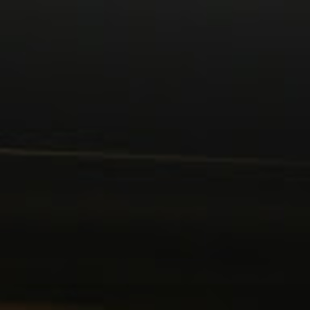 Meet your Posher, Lily